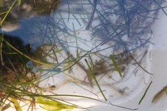 5341CCE7-CA65-4063-B169-EC1B4335D18C