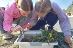 C28F3098-BDD8-4097-B50D-98ABF99B96A0